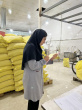 بازدید کارشناسان بهداشت محیط مرکز بهداشت ساوه از نانوایی های سطح شهر